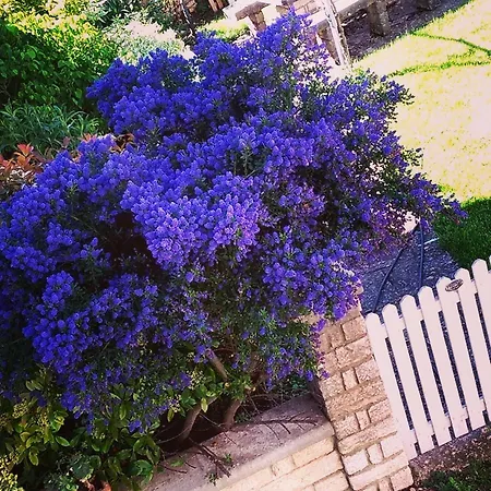 Alojamento de Acomodação e Pequeno-almoço Antica Corte Panego 4*