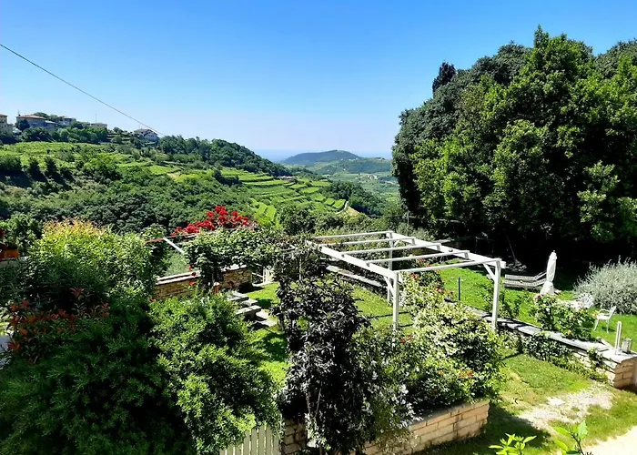 安蒂卡科尔特萍歌住宿加早餐旅馆 住宿加早餐酒店 内格拉尔