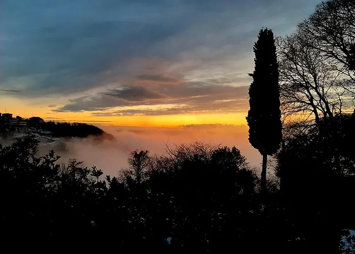Antica Corte Panego